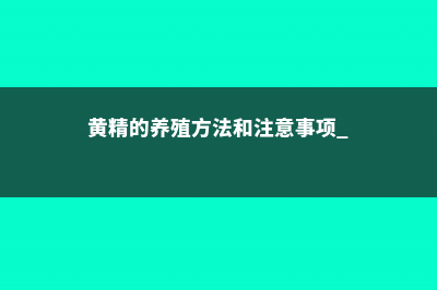 黄精的养殖方法和注意事项 