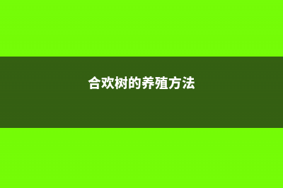 合欢树的养殖方法和注意事项 (合欢树的养殖方法)