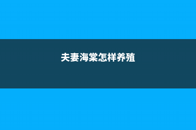 夫妻海棠的养殖方法和注意事项 (夫妻海棠怎样养殖)