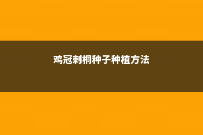 鸡冠刺桐的养殖方法和注意事项 (鸡冠刺桐种子种植方法)