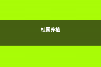 桂圆的养殖方法和注意事项 (桂圆养植)