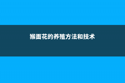 猴面花的养殖方法和注意事项 (猴面花的养殖方法和技术)