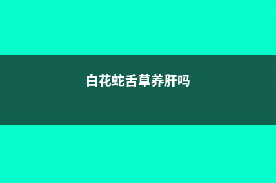 白花蛇舌草的养殖方法和注意事项 (白花蛇舌草养肝吗)