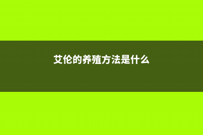 艾伦的养殖方法和注意事项 (艾伦的养殖方法是什么)