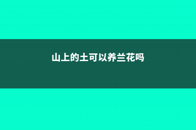 山上的土可以养花吗 (山上的土可以养兰花吗)