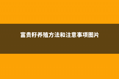 富贵籽的养殖方法和注意事项 (富贵籽养殖方法和注意事项图片)