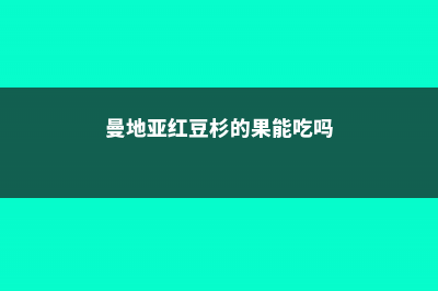 曼地亚红豆杉能晒太阳吗 (曼地亚红豆杉的果能吃吗)