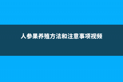 人参果的养殖方法和注意事项 (人参果养殖方法和注意事项视频)