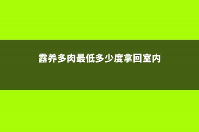 多肉露养最低温度 (露养多肉最低多少度拿回室内)