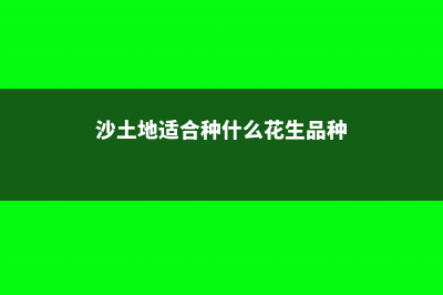 沙土地适合种什么树 (沙土地适合种什么花生品种)