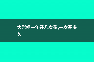 大岩桐一年开几次花 (大岩桐一年开几次花,一次开多久)