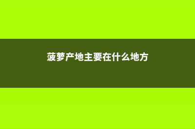 菠萝产地主要在哪个省 (菠萝产地主要在什么地方)