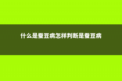 什么是蚕豆 (什么是蚕豆病怎样判断是蚕豆病)