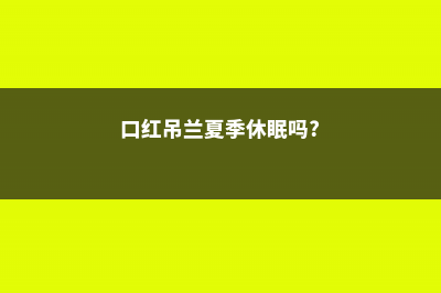 口红吊兰一年开几次花 (口红吊兰夏季休眠吗?)