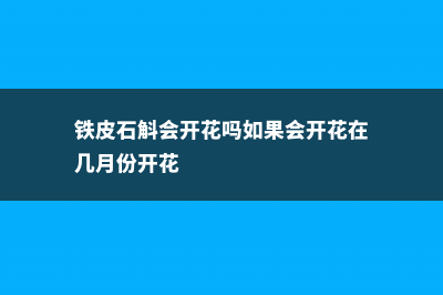 铁皮石斛开花季节 (铁皮石斛会开花吗如果会开花在几月份开花)