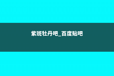 紫斑牡丹的养殖方法 (紫斑牡丹吧 百度贴吧)