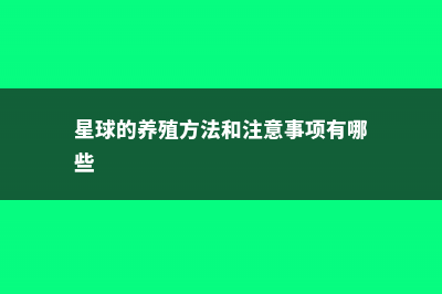 星球的养殖方法和注意事项 (星球的养殖方法和注意事项有哪些)