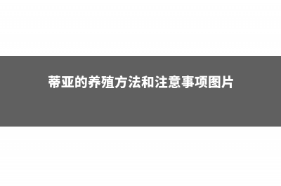 蒂亚的养殖方法与注意事项 (蒂亚的养殖方法和注意事项图片)