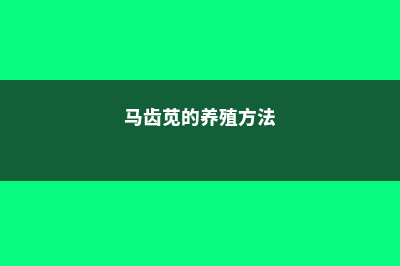 马齿苋的养殖方法 (马齿苋的养殖方法)