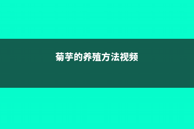 菊芋的养殖方法 (菊芋的养殖方法视频)