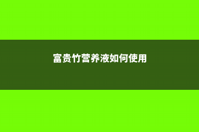 富贵竹营养液滴几滴 (富贵竹营养液如何使用)