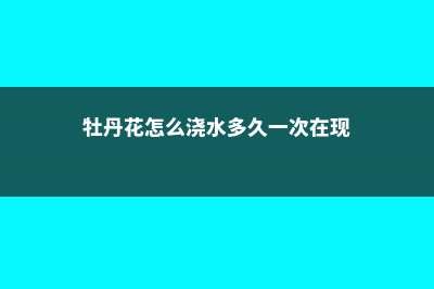 牡丹花怎么浇水 (牡丹花怎么浇水多久一次在现)