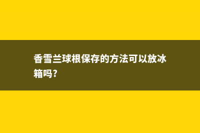 香雪兰球根保存的方法 (香雪兰球根保存的方法可以放冰箱吗?)