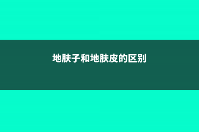 地肤子和地肤皮的区别 (地肤子和地肤皮的区别)