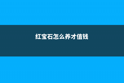 红宝石怎么养才能爆盆 (红宝石怎么养才值钱)