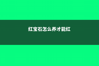 红宝石怎么养 (红宝石怎么养才能红)