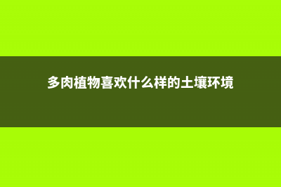 多肉植物喜欢什么环境 (多肉植物喜欢什么样的土壤环境)