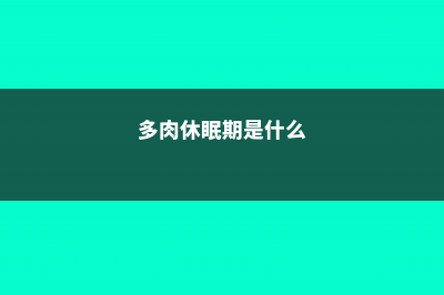 多肉休眠期是什么时候 (多肉休眠期是什么)