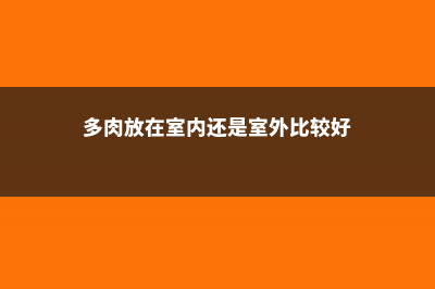 多肉放在室内还是室外 (多肉放在室内还是室外比较好)