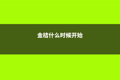 金桔什么时候开花，开花时怎么养？ (金桔什么时候开始)