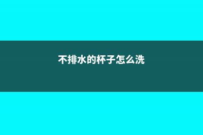 不排水的杯子怎么养多肉 (不排水的杯子怎么洗)