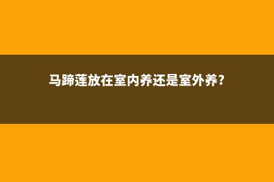 马蹄莲适合室内养吗，如何在室内养？ (马蹄莲放在室内养还是室外养?)