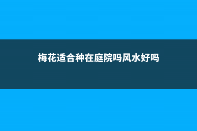 梅花适合种在庭院吗，种在庭院中怎么养？ (梅花适合种在庭院吗风水好吗)