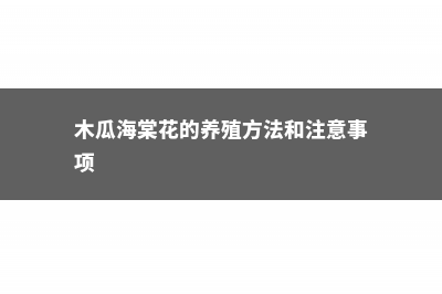 木瓜海棠花的养殖方法 (木瓜海棠花的养殖方法和注意事项)