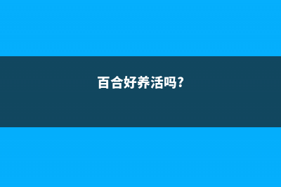 百合好养活吗，该怎么养？ (百合好养活吗?)