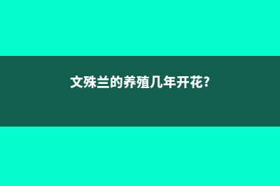 文殊兰适合在家里养吗 (文殊兰的养殖几年开花?)