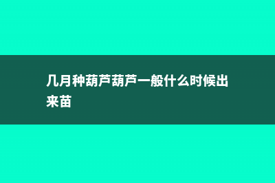 几月种葫芦 (几月种葫芦葫芦一般什么时候出来苗)