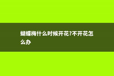 蝴蝶梅几月份开花 (蝴蝶梅什么时候开花?不开花怎么办)