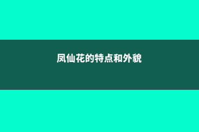 凤仙花的特点 (凤仙花的特点和外貌)