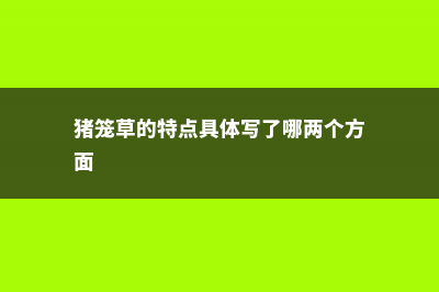 猪笼草的特点 (猪笼草的特点具体写了哪两个方面)