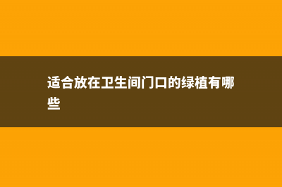 适合放在卫生间的植物，适合放在厨房的植物 (适合放在卫生间门口的绿植有哪些)