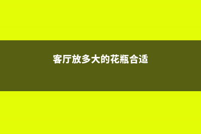 客厅用多大的花盆，客厅放花盆有讲究吗 (客厅放多大的花瓶合适)