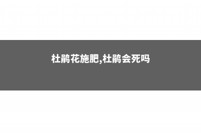 杜鹃花施肥，杜鹃花施肥方法与养护 (杜鹃花施肥,杜鹃会死吗)