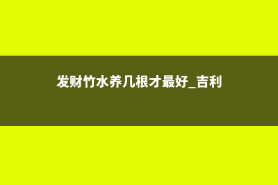 发财竹一般水养几根，发财竹用什么水养 (发财竹水养几根才最好 吉利)