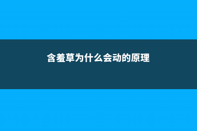 含羞草为什么会害羞 (含羞草为什么会动的原理)