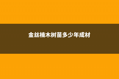 金丝楠木树苗 (金丝楠木树苗多少年成材)